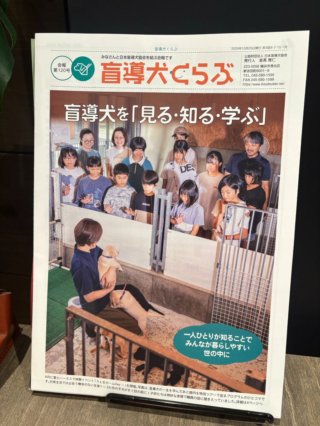 日本盲導犬協会から会報が届きました!