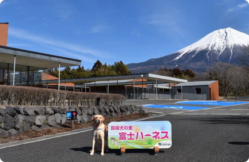 寄付の実施